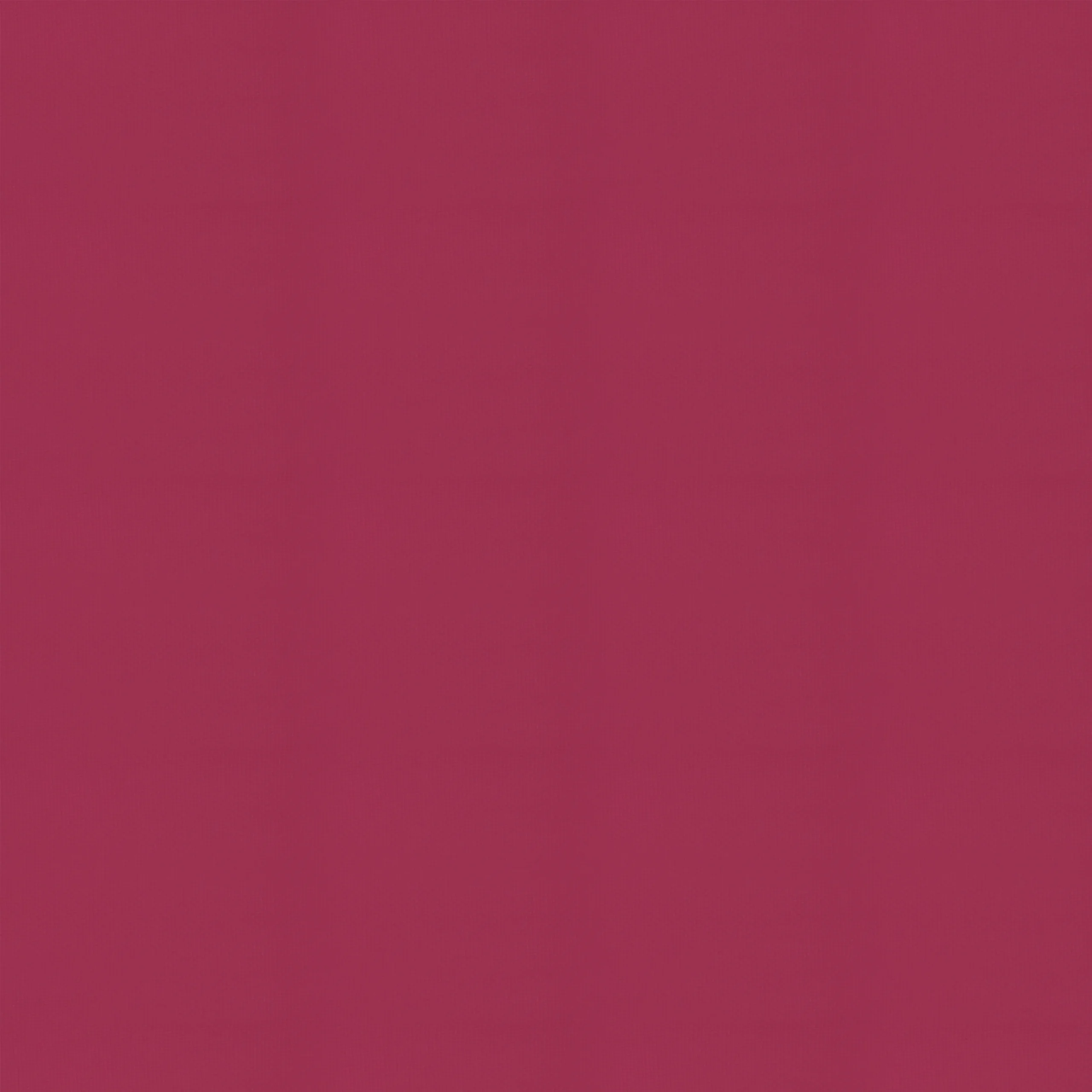 Berry Rose RH-04