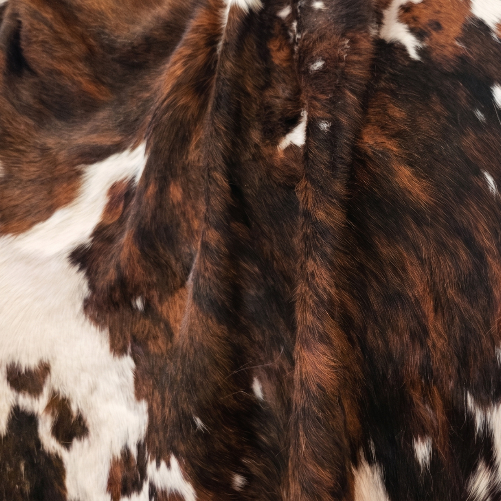 Close-up of genuine cowhide showing natural brindle coloring and hair direction